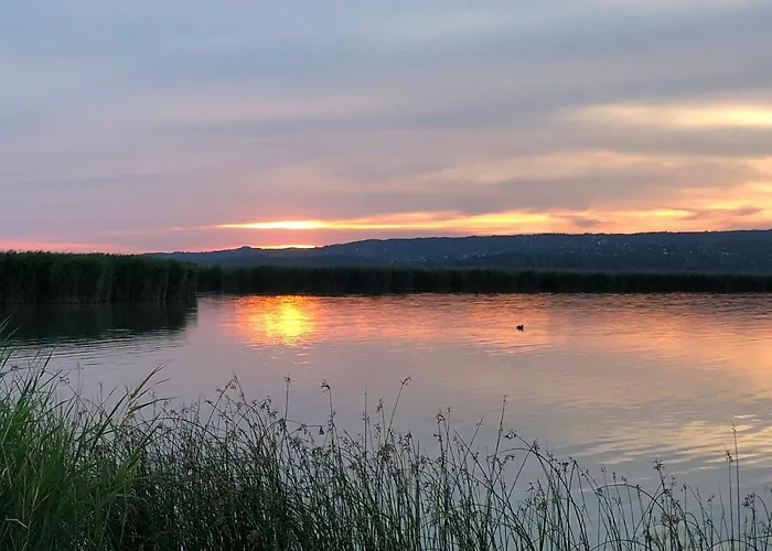 Lilihome